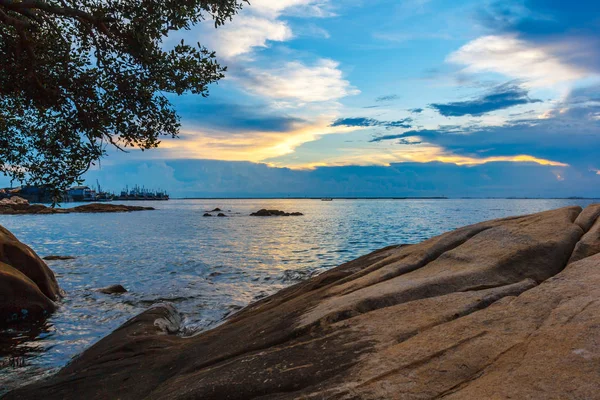 Meer Sonnenuntergang Baum Einem Strand Bei Ebbe Gesehen — Stockfoto