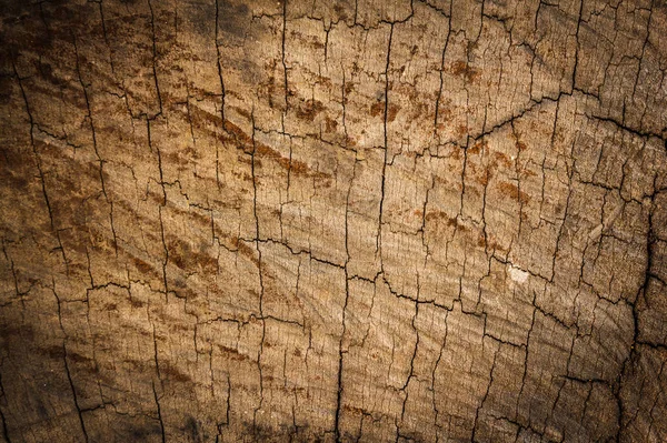 Wood skin old texture plank in natural