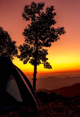 Forest Hill manzaraları Şafak çok güzel