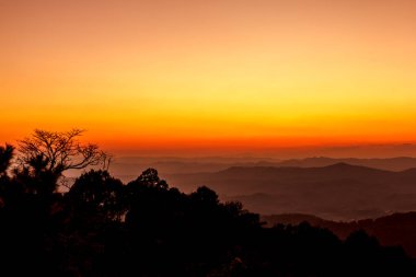 Forest Hill manzaraları Şafak çok güzel