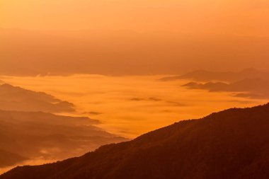 Forest Hill manzaraları Şafak çok güzel