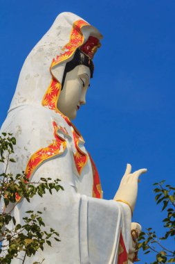 Guanyin heykeli kalp ve ruh bir Budist Tapınağı ülke Tayland güzel parklarından iyileşmek için büyük ölçüde.