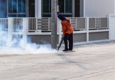 Dang humması engellemeye çalışan sivrisinek sisleme