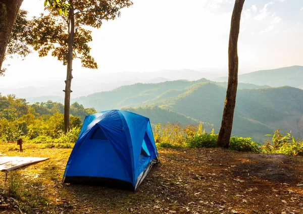 Punkt Zelte Wiese Für Touristen Der Natur — Stockfoto