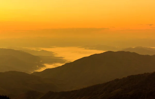 Forest Hill Landschaften Dawn Ist Sehr Schön — Stockfoto