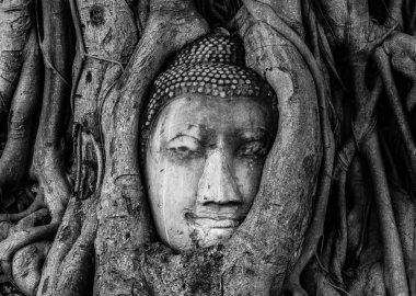 Wat Phra Nakhon Si Ayutthaya, Tayland Mahathat Buda görüntü başkanı