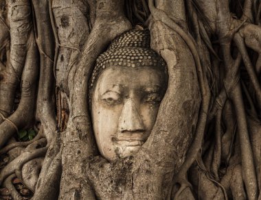 Wat Phra Nakhon Si Ayutthaya, Tayland Mahathat Buda resim eski başkanı