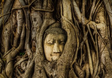 Wat Phra Nakhon Si Ayutthaya, Tayland Mahathat Buda resim eski başkanı