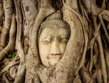 Wat Phra Nakhon Si Ayutthaya, Tayland Mahathat Buda görüntü başkanı