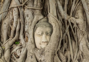 Wat Phra Nakhon Si Ayutthaya, Tayland Mahathat Buda resim eski başkanı