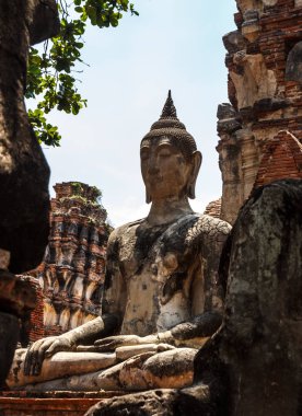 Eski Buda baş eski Wat Phra Nakhon Si Ayutthaya, Tayland Mahathat