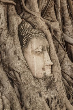 Wat Phra Nakhon Si Ayutthaya, Tayland Mahathat Buda resim eski başkanı
