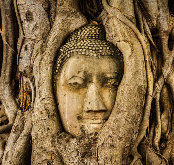 The head of the Buddha image of Wat Mahathat in Phra Nakhon Si Ayutthaya, Thailand