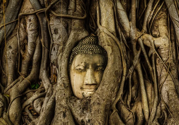 Των Παλαιών Κεφάλι Από Την Εικόνα Του Βούδα Του Wat — Φωτογραφία Αρχείου