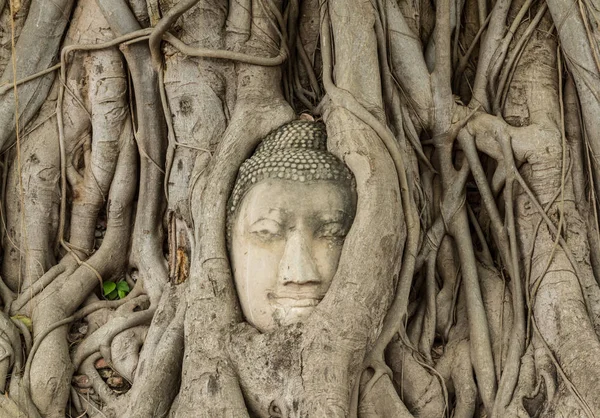 Wat Phra Nakhon Si Ayutthaya, Tayland Mahathat Buda resim eski başkanı