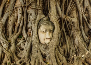 Wat Phra Nakhon Si Ayutthaya, Tayland Mahathat Buda görüntü başkanı