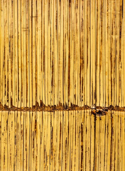 Természetes Mintázatú Szép Apróra Vágott Bambusz Felület — Stock Fotó