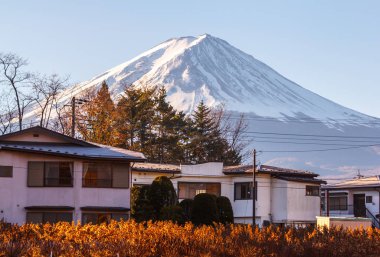 Bahar güzel görünümünü başka bir şehir Kawaguchiko, Japonya'nın Fuji yanardağ resimleri.