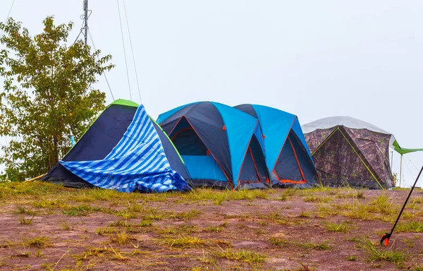 Tentes Ponctuelles Champ Herbe Pour Les Touristes Dans Nature — Photo