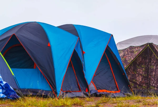 Point Tents Grass Field Tourists Nature — Stock Photo, Image