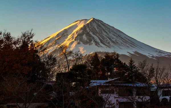 Photos Volcan Fuji Dans Belle Matinée Hiver Japonaise — Photo