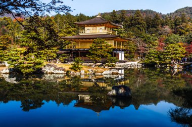 Sonbaharda yapraklar Kinkakuji Tapınağı'nda çarpıcı: Dünya Hertage sitesi, Kyoto, Japonya