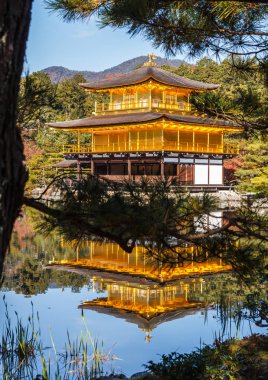 Sonbaharda yapraklar Kinkakuji Tapınağı'nda çarpıcı: Dünya Hertage sitesi, Kyoto, Japonya