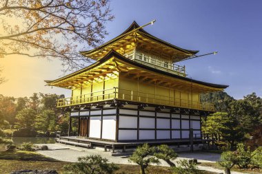 Sonbaharda yapraklar Kinkakuji Tapınağı'nda çarpıcı: Dünya Hertage sitesi, Kyoto, Japonya