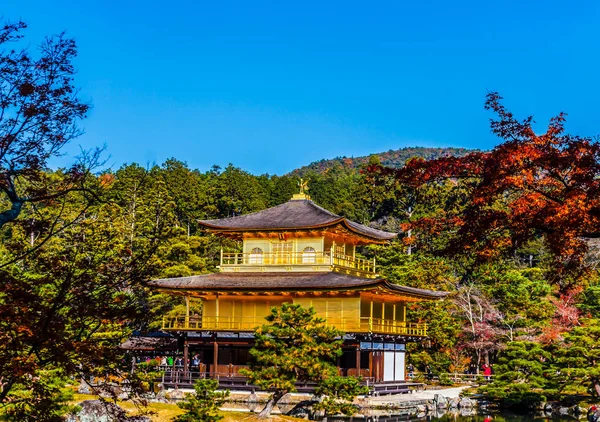 Folhagem Impressionante Queda Templo Kinkakuji Patrimônio Mundial Kyoto Japão — Fotografia de Stock