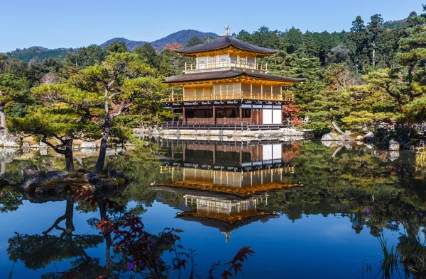 Folhagem Impressionante Queda Templo Kinkakuji Patrimônio Mundial Kyoto Japão — Fotografia de Stock