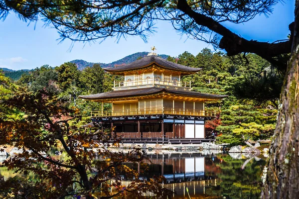 Folhagem Impressionante Queda Templo Kinkakuji Patrimônio Mundial Kyoto Japão — Fotografia de Stock