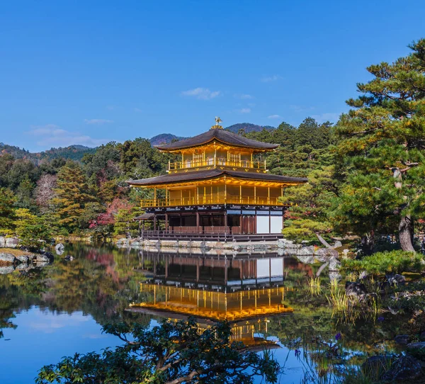 Folhagem Impressionante Queda Templo Kinkakuji Patrimônio Mundial Kyoto Japão — Fotografia de Stock