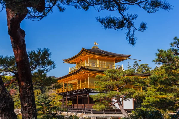 Folhagem Impressionante Queda Templo Kinkakuji Patrimônio Mundial Kyoto Japão — Fotografia de Stock