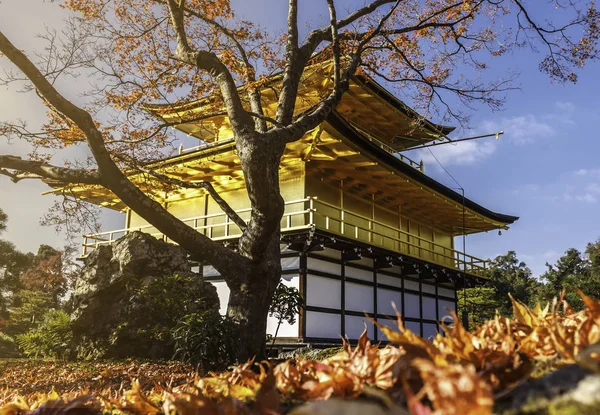 Folhagem Impressionante Queda Templo Kinkakuji Patrimônio Mundial Kyoto Japão — Fotografia de Stock