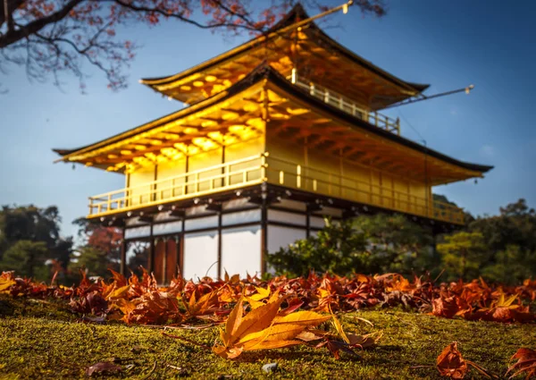 Folhagem Impressionante Queda Templo Kinkakuji Patrimônio Mundial Kyoto Japão — Fotografia de Stock