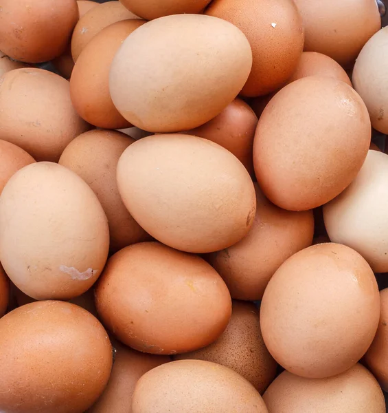 Yuva fotoğraflarında taze yumurta. Yakın plan. 