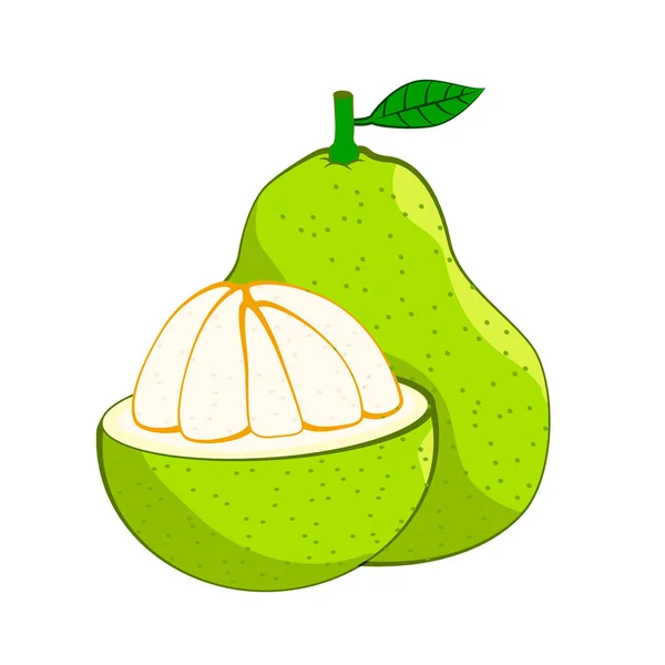 Illustrazione Pomelo Fresco Isolato Sfondo Bianco Cibo Fresco Sano Frutta — Vettoriale Stock