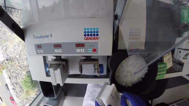 Laboratorietekniker Som Opererar Tissue Lyser Maskin Vetenskaps Utrustning Bioteknik Molekylärbiologi — Stockvideo