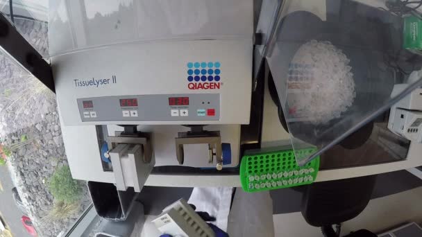 Laboratorietekniker Som Opererar Tissue Lyser Maskin Vetenskaps Utrustning Bioteknik Molekylärbiologi — Stockvideo