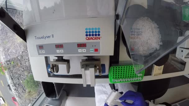 Laboratorietekniker Som Opererar Tissue Lyser Maskin Vetenskaps Utrustning Bioteknik Molekylärbiologi — Stockvideo