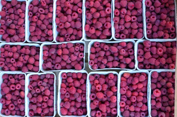 Raspberry for selling on the fruit market