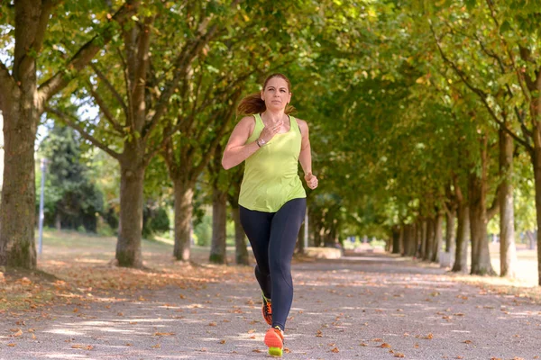 Fit middle-aged woman jogging along a tree-lined avenue through a park approaching the camera in a health and fitness or active lifestyle concept