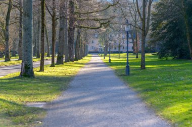 Basık bir ağaçlıklı cadde ve yeşil çimenler yanında bir parkta boş bir yol görünümünü