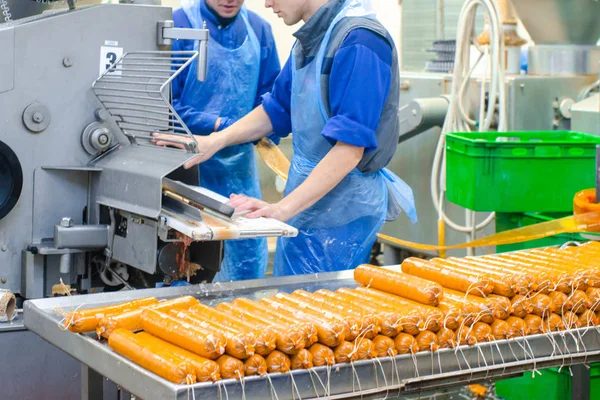 Salsiccia Linea Produzione Salsicce Processo Produzione Salsicce Produzione Industriale Salsicce — Foto Stock