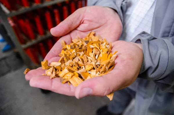 Wood Chips Line Production Smoked Delicacies Industrial Manufacture Sausage Products — Stock Photo, Image