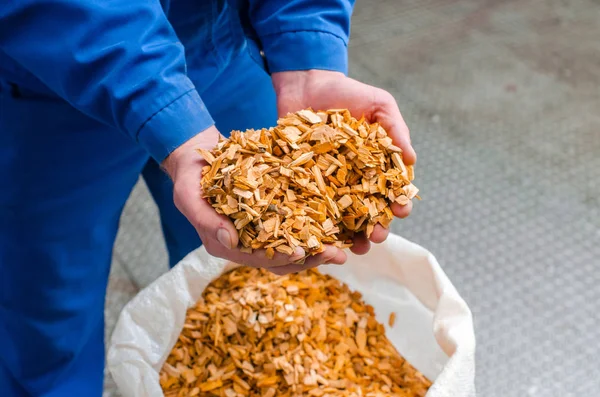 Ahşap yongaları. Füme lezzetleri üretim hattı. Sosis ürünleri sanayi imalatı. Smokehouse et ürünleri.