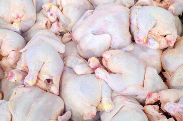 The hen is on the butcher's table. Chicken Cutting Plant.