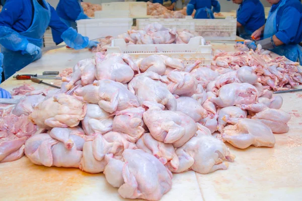 Chicken. Cutting shop of a poultry farm. Butcher is chopping a chicken.