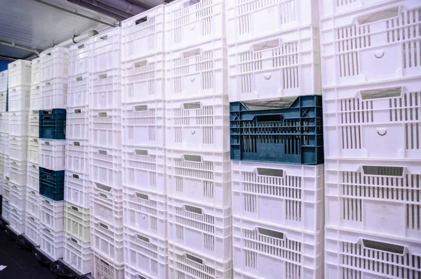 Beyaz plastik kutular. Konteyner nakliye gıda ürünleri için.