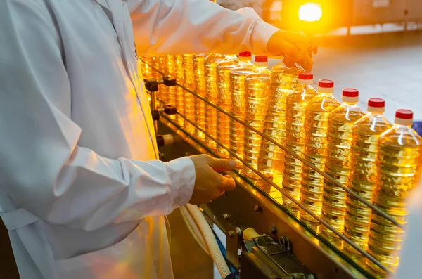 Zonnebloemolie Olijfolie Medewerker Van Fabriek Een Witte Jas Houdt Een — Stockfoto